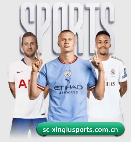 五个功能入口,赛程查询路径更短